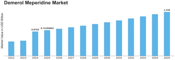 Demerol Meperidine Market Size