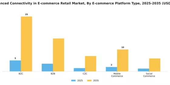 Advanced Connectivity in E-Commerce and Retail Market Segment Image 2