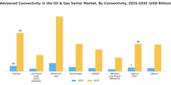 Advanced Connectivity in the Oil and Gas Sector Market Segment Image 1