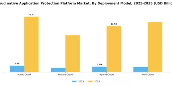 Cloud native Application Protection Platform CNAPP Market Segment Image 1