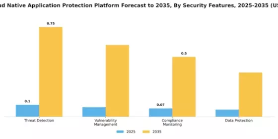 Cloud native Application Protection Platform CNAPP Market Segment Image 3