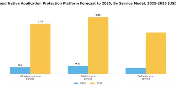 Cloud native Application Protection Platform CNAPP Market Segment Image 4