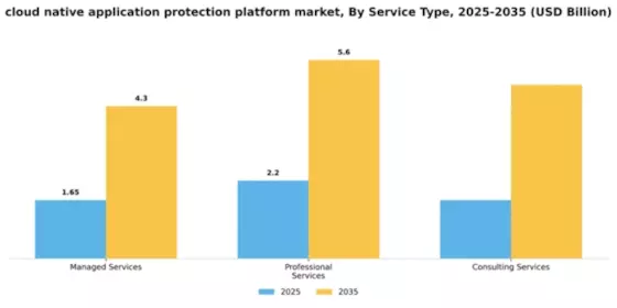 Cloud native Application Protection Platform CNAPP Market Segment Image 4
