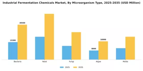 Industrial Fermentation Chemicals Market Segment Image 2