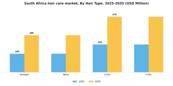South Africa Hair Care Market Segment Image 2