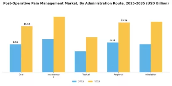 Post-Operative Pain Management Market Segment Image 0