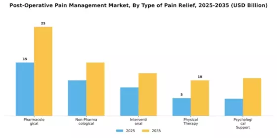 Postoperative Pain Management Market Report: Growth Outlook & Forecast 2025–2035 Segment Image 2