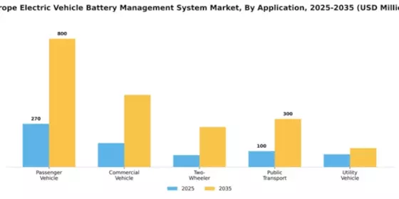 Europe Electric Vehicle Battery Management System Market Segment Image 0