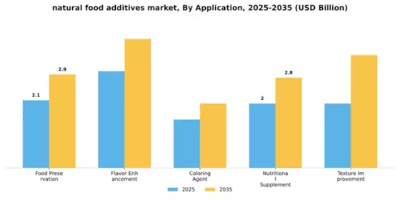 Natural Food Additives Market Segment Image 0