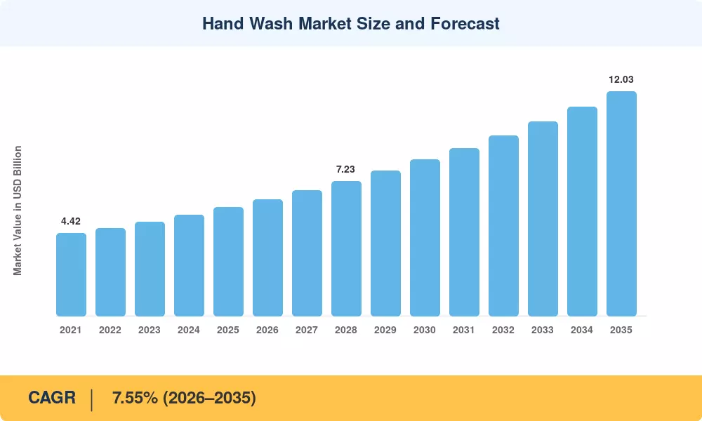 Hand Wash Market Size and Forecast