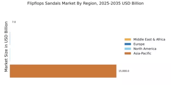 Flipflops Sandals Market Regional Image