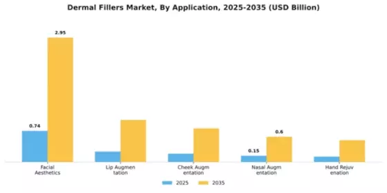 South East Asia Dermal Fillers Market Segment Image 0