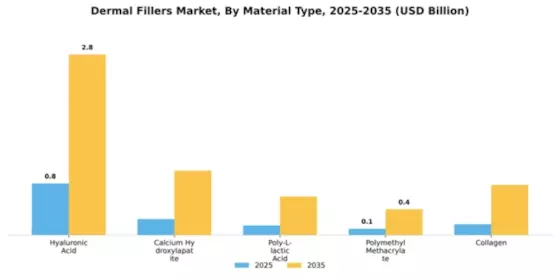 South East Asia Dermal Fillers Market Segment Image 3