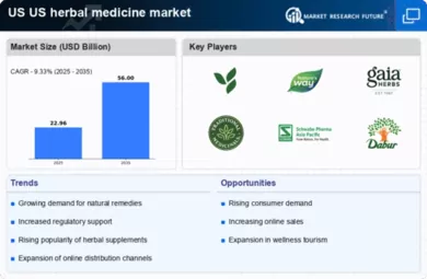 US Herbal Medicine Market Infographic