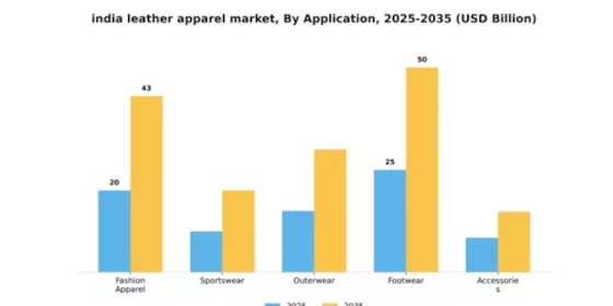 India Leather Apparel Market Segment Image 0