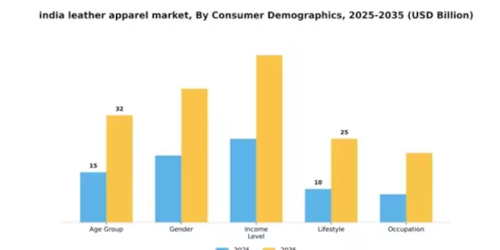 India Leather Apparel Market Segment Image 1