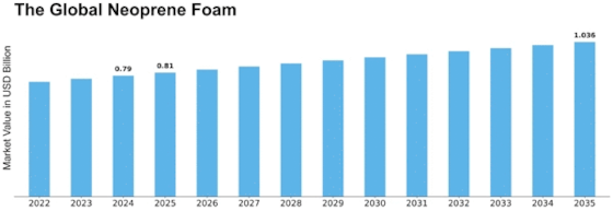 Neoprene Foam Market Size