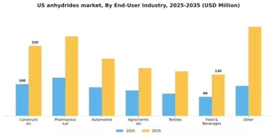 US Anhydrides Market Segment Image 2
