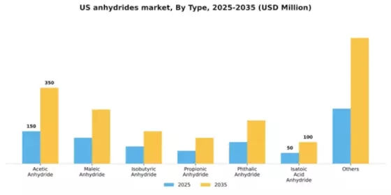 US Anhydrides Market Segment Image 3