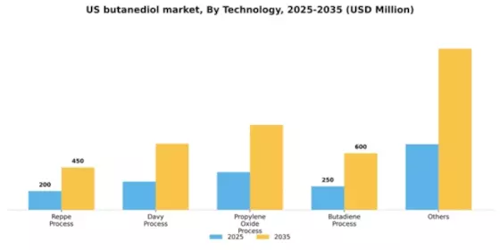 US Butanediol Market Segment Image 1
