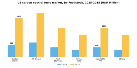 US Carbon Neutral Fuels Market Segment Image 1
