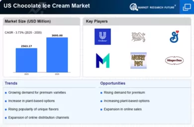 US Chocolate Ice Cream Market Infographic