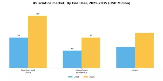 US Sciatica Market Segment Image 1