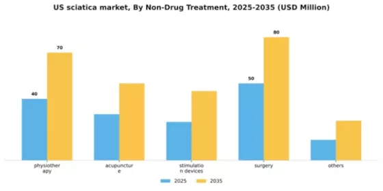 US Sciatica Market Segment Image 2