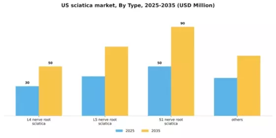 US Sciatica Market Segment Image 3