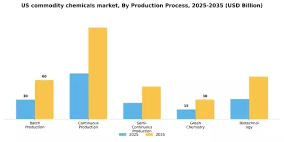 US Commodity Chemicals Market Segment Image 3