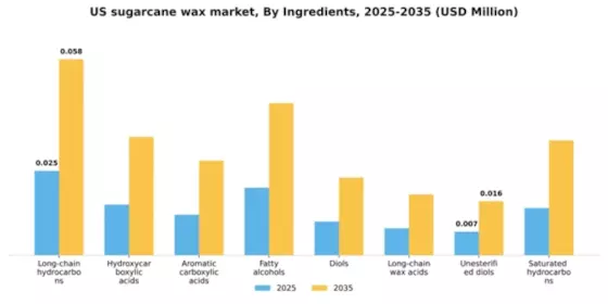 US Sugarcane Wax Market Segment Image 2