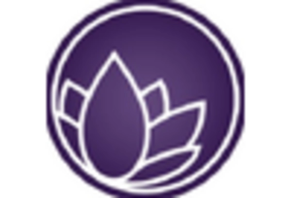 US Ceramic Coating Market key player