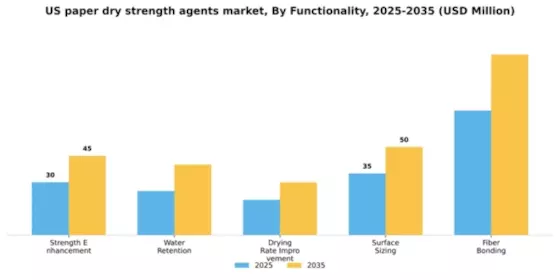 US Paper Dry Strength Agents Market Segment Image 3
