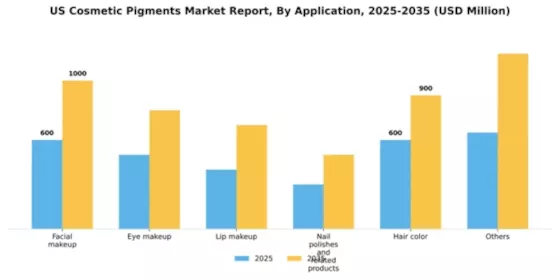 US Cosmetic Pigments Market Segment Image 0