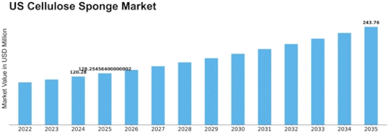 US Cellulose Sponge Market Size
