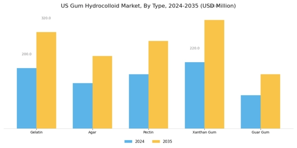 US Gum Hydrocolloid Market Segment Image 0
