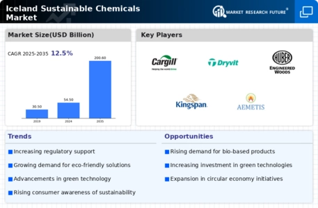 Iceland Sustainable Chemicals Market Infographic Iceland Sustainable Chemicals Market Infographic