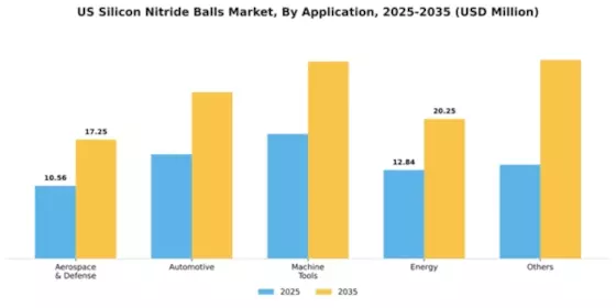 US Silicon Nitride Balls Market Segment Image 0
