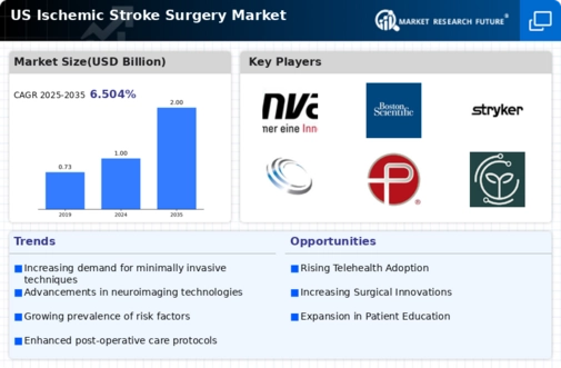 US Ischemic Stroke Surgery Market Infographic