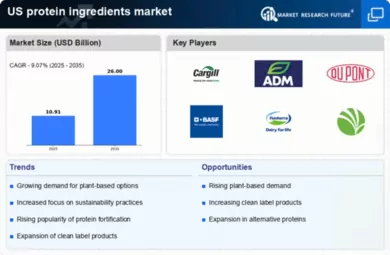 US Protein Ingredients Market Infographic