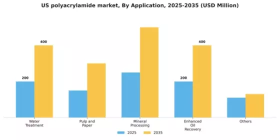 US Polyacrylamide Market Segment Image 0