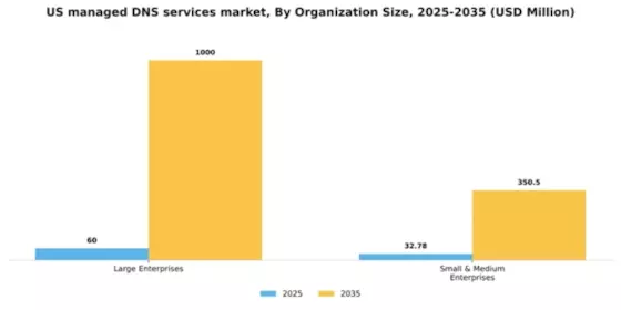 US Managed DNS Services Market Segment Image 1