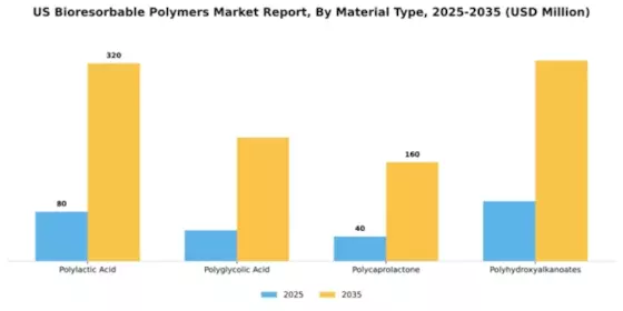 US Bioresorbable Polymers Market Segment Image 2
