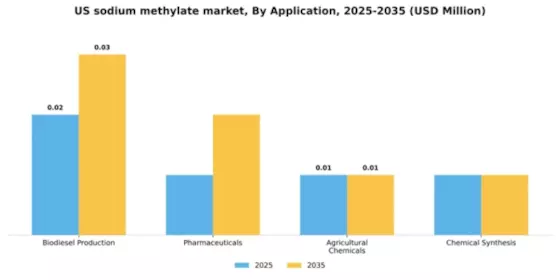 US Sodium Methylate Market Segment Image 0