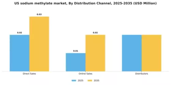 US Sodium Methylate Market Segment Image 1