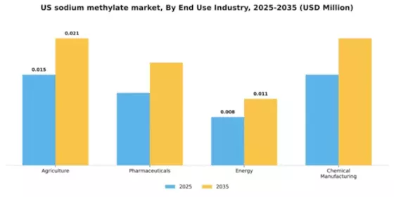 US Sodium Methylate Market Segment Image 2