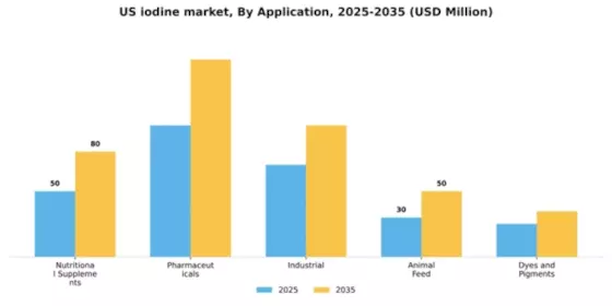 US Iodine Market Segment Image 0