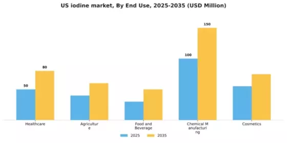 US Iodine Market Segment Image 1