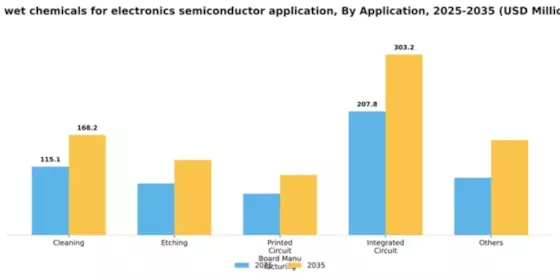 US Wet Chemicals for Electronics Semiconductor Application Market Segment Image 0