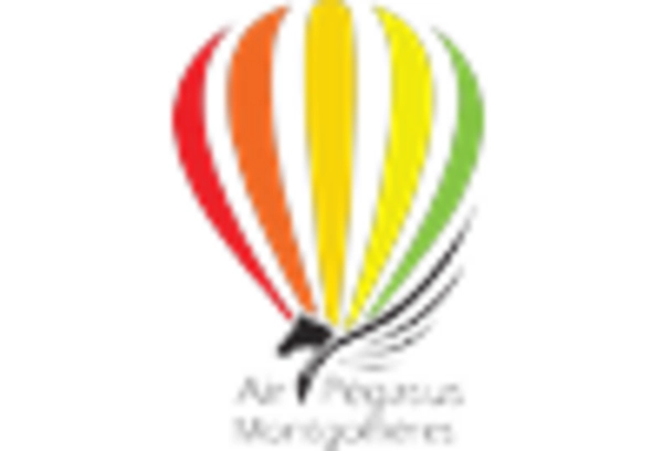 US Helicopter Tourism Market key player